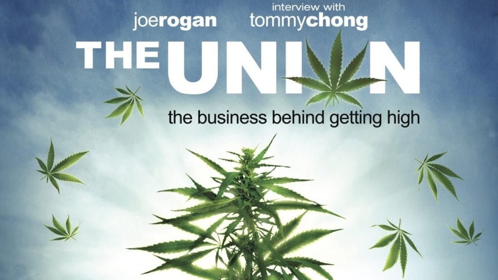 film o marihuanie dokumentalny