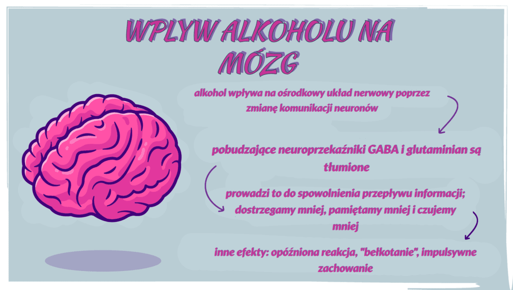 wpływ alkoholu na mózg